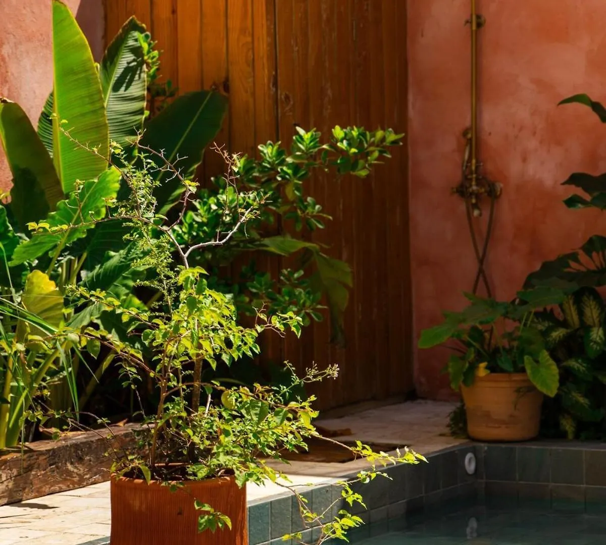 Casa Grullon, An Oasis In The Colonial Zone Villa Santo Domingo