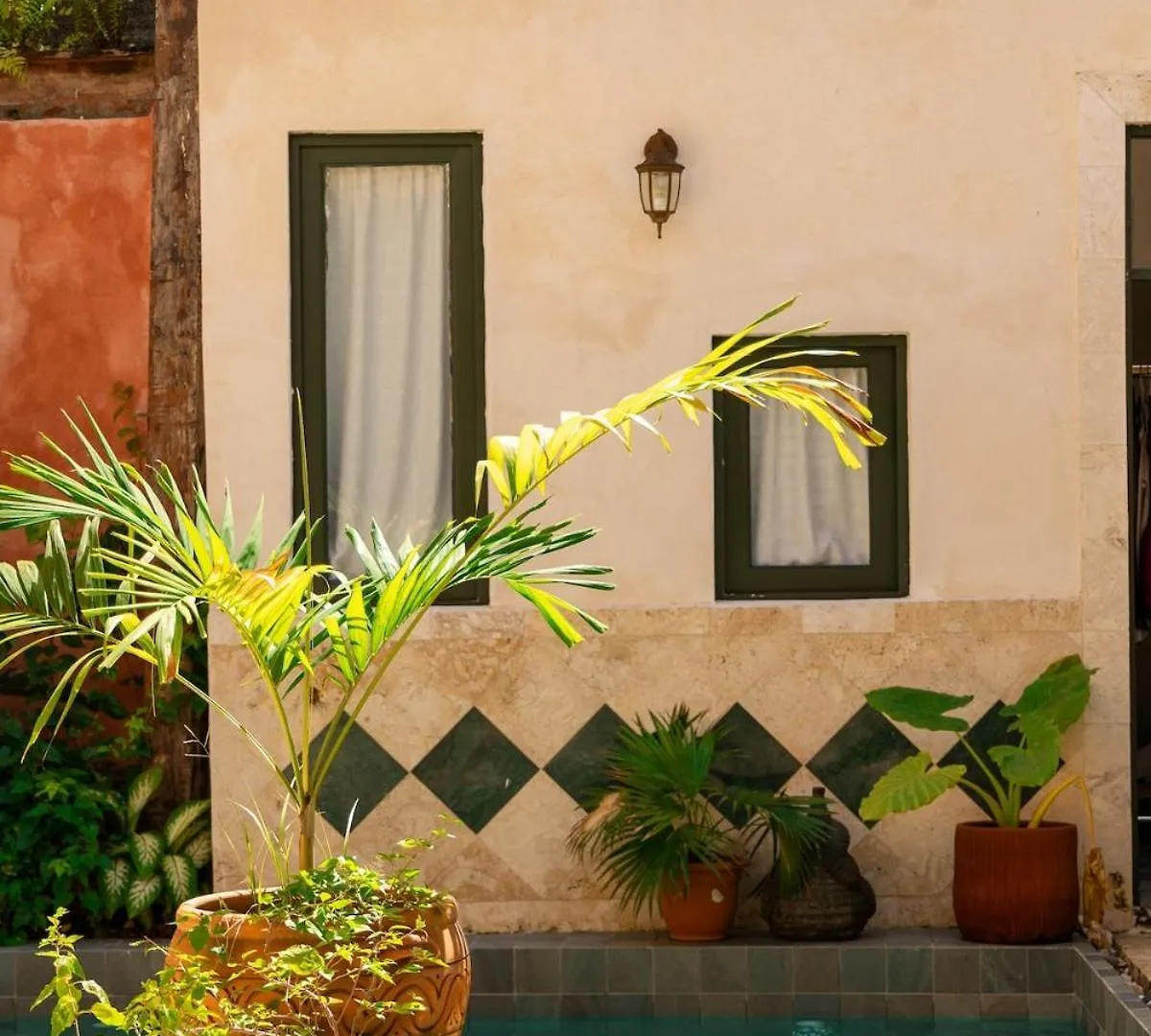 Casa Grullon, An Oasis In The Colonial Zone Villa Santo Domingo 0*,