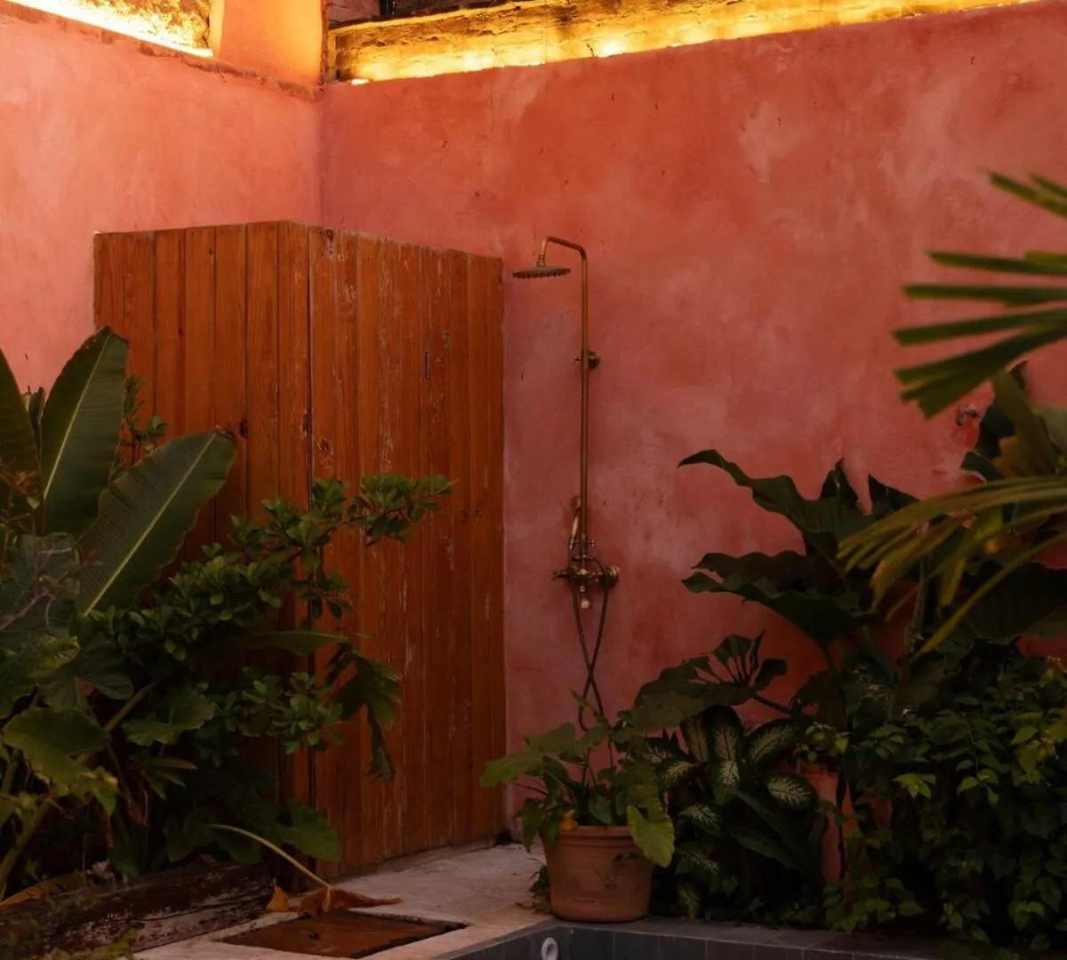 Casa Grullon, An Oasis In The Colonial Zone Villa Santo Domingo