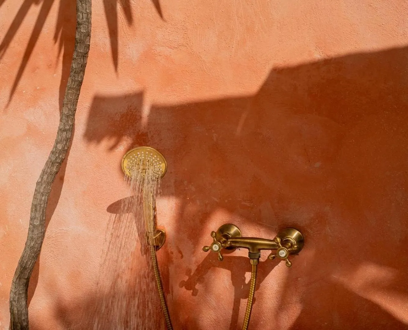 Casa Grullon, An Oasis In The Colonial Zone Villa Santo Domingo 0*,  Dominican Republic